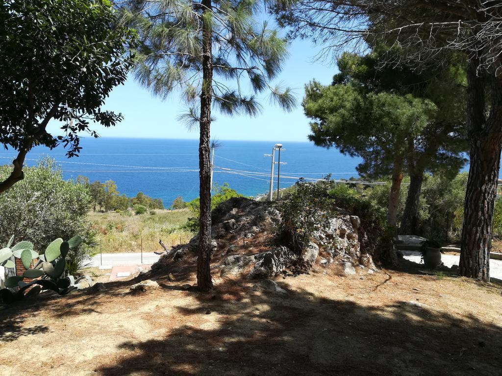 Palms Villa Scopello  Luaran gambar